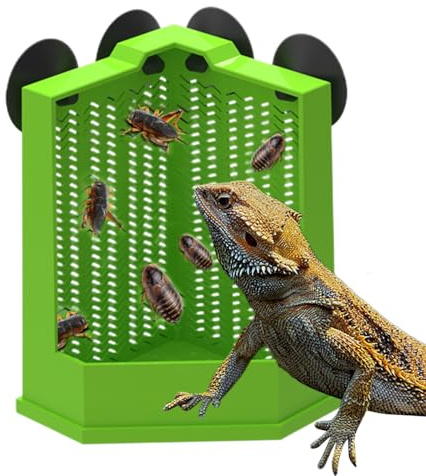 Ciotola di mangime rettile – Ventosa per rettili da parete | Distributore di mangime per arrampicata per lucertola, serpente, tartaruga, granchio eremita, per terrario, per principianti, allevatore