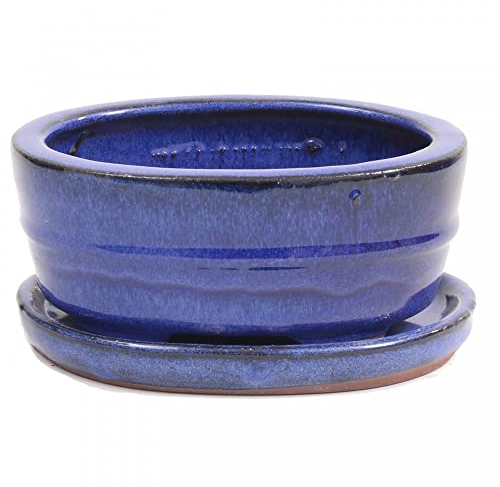 Bonsai - Schale oval, 16 x 11,5 x 6,5 cm, Blau, mit Untersetzer 23984