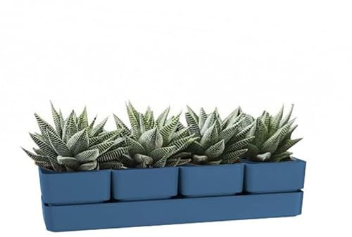 VIRSUS Fioriera con 4 vasi e unico sottovaso 310, misura 48x12x11 cm, Fioriera di forma rettangolare per interno e per esterno, vasi per piccole piante grasse, resistente ai raggi UV (Denim)