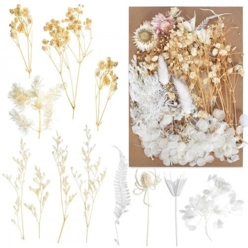 Fiori Essiccati Fiore Secco Compresso, Fiori Secchi per Decorazioni, Naturali Pressati Fiori Pressati Secchi, Veri Fiori Secchi Artigianato per Resina Epossidica, Scrapbooking, Crafts, DIY Gioielli
