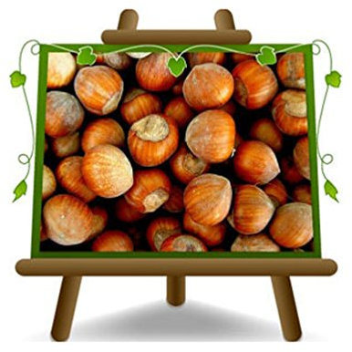 EURO PLANTS VIVAI Nocciolo Tonda Gentile Romana - Pianta da Frutto su Vaso da 20 cm - Altezza 150~170 cm - Età 2 Anni