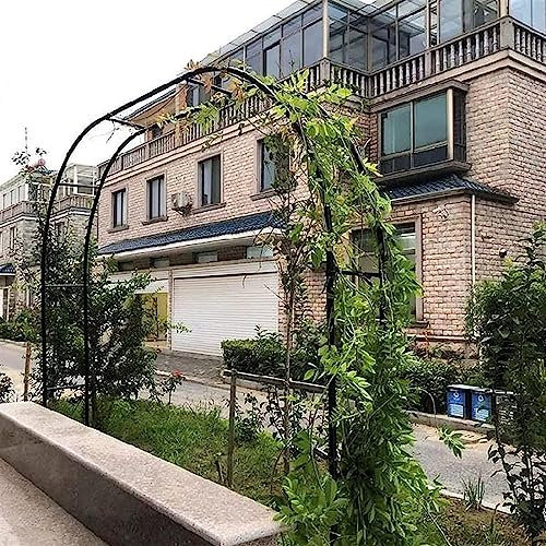 Arche Jardin pour Rosiers Plantes Grimpantes, Metal Arceau à Rosiers, Arche de Rosiers Vigne Mariage, Pergola Tonnelle de Jardin, Intérieur Extérieur Décoration de Fête,350x220x40CM