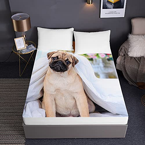 Mops Druck Spannbetttuch für Boxspringbett, Chickw1 Weiche Spannbettlaken Rutschfestem Mikrofaser Matratzenschoner bis 30cm Hohe für Matratzen in Vielen Größen (Beige Mops,140x200x30cm)