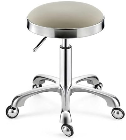 Sadelpall, Beige Silver Rullande Snurrpall Skönhetssalongstol, Läderkudde for Medicinsk Vård, Spa Kontor Manikyr Tatuering(Light Gray,Silver)