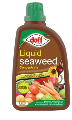 Bargainstore Doff F-JO-A00-DOF-03 Liquid Seaweed Plant Feed 1L Concentrate Organic Food Shrubs 1l Veg Vegetables Fertiliser Fruit