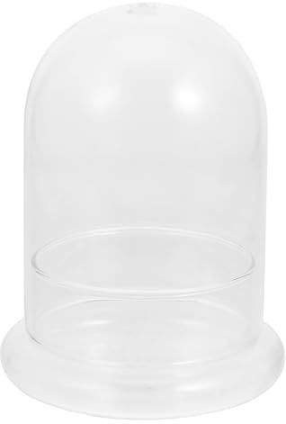 YARNOW CúPula De Cristal Pequeña - Terrario Plantas Campana, Ideal para Decorar Hogar, Oficina Y Regalos Creativos