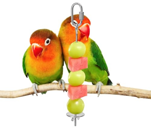 Fågel Fruktskewer Rostfritt Grönsaksmatarspett | Belöningsspett För Fåglar Till Bur Macaw Kakadua Örkendjur Småfåglar Och Sällskapsdjur