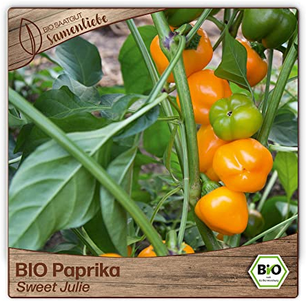 Samenliebe BIO Paprika Samen alte Sorte Sweet Julie süße Snackpaprika Blockpaprika orange 10 Samen samenfestes Gemüse Saatgut für Gewächshaus Freiland und Balkon BIO Gemüsesamen