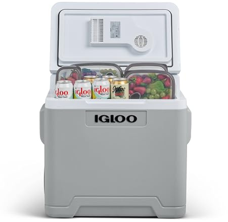 IGLOO IE42 AC/DC elektrisk kylbox 42 l minikylskåp för bil och uttag 12 V 230 V grå för camping fritid festival utomhus