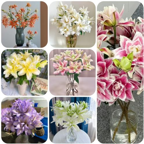 lirio lilium - coración sala estar otoño rápido crecimiento 7bulbos