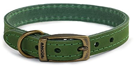 Ancol Timberwolf Leather Collar Green, 35-43 cm, Size 4