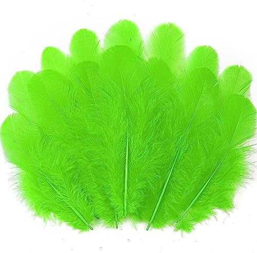 Soarer Green Craft Feathers Bulk for Crafting Supplies,300Pcs,3-5inch | Natural Rooster Feathers for DIY School Crafts,Dream Catcher,Halloween,Mardi Gras,Thanksgiving and Christmas Home Party Decor