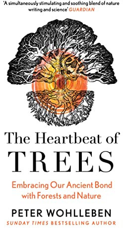 The Heartbeat of Trees: Embracing Our Ancient Bond With Forests and Nature