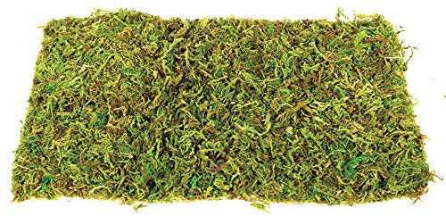 Komodo Natural Moss Mat for Reptile Cage Habitat Premium Natural Durable Long Lasting Moisture Control Small - Pack of 2