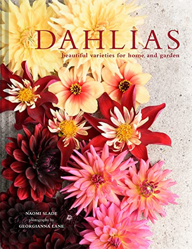 Dahlias: The ultimate flower guide for growing, flowering and cutting varieties for the home and gardening