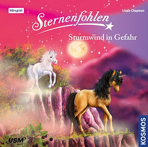 Sternenfohlen 15: Sturmwind in Gefahr