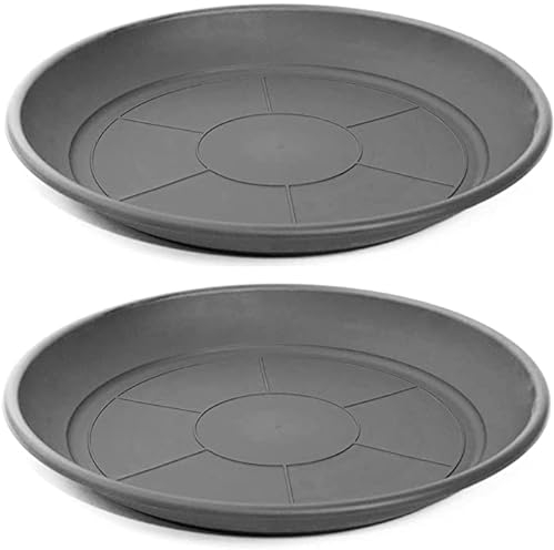 Desconocido Pack 2 Plato para Maceta Plástico PVC/Platillo Maceta Grises 24cm y 26cm / Bandeja de Plástico para Maceta Redondo (24cm y 26cmGris)