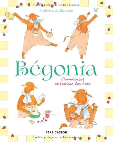 Bégonia: Framboises et fraises des bois