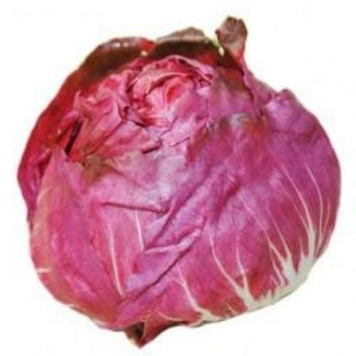Seeds 50-50 IP129 Red Seeds of Verona Radicchio (Chichorium Interbus)
