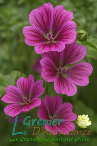 25 graines à semer - Le Grenier d'Abondance - Grande Mauve - Malva sylvestris