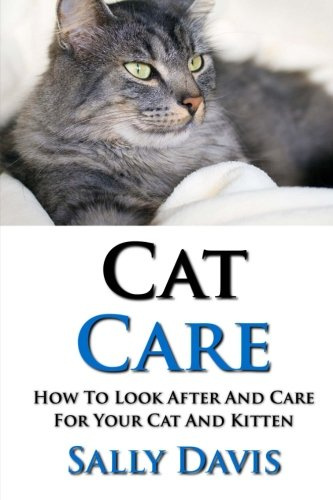 Cat Care: How To Look After And Care For Your Cat And Kitten