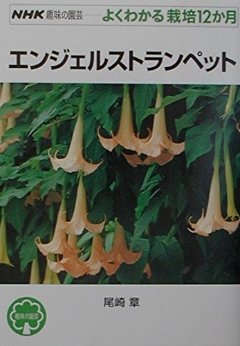 (12 months cultivation can be seen well gardening hobby of NHK) Angels Trumpet (2001) ISBN: 4140401753 [Japanese Import]