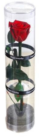 VUIUYOIES Flor Eterna Romántica Elegante Símbolo De Amor Sin Mantenimiento Rosas Individuales Reales Estabilizadas Mezcladas Y Conservadas, Rojo