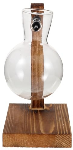 TOYZFRIENDY Vaso Idroponico per Piante da Interno con Supporto in Legno, Piccolo Vaso Idroponico in Vetro Trasparente per Propagazione Bulbi, Fioriera Decorativa per Casa, Ufficio e Regalo