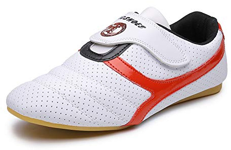 MSMAX Martial Arts Shoes Kids Kung Fu Tai Chi Sneakers Women Taekwondo Boxing Shoes for Men,10 M US Toddler White