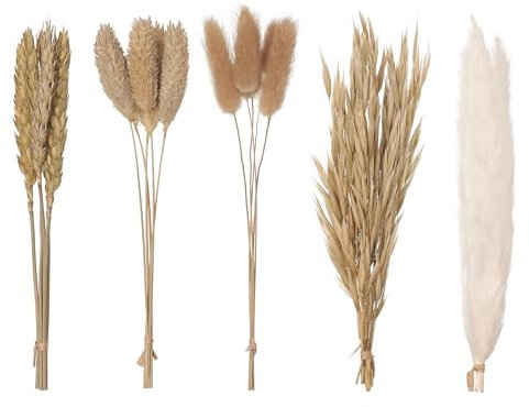 The Baked Studio - Original Dried Flower Set Containing Pampas, Oats, Wheat, Lagarus Bunny Tails & Phalaris For Cake & Cupcake Decorating & Others Crafts (Natural)