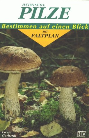 Blv Buchverlag