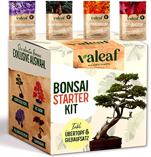 valeaf Bonsai Starter Kit I Bonsai Anzuchtset Geschenk für deinen Bonsai Baum I Zimmerpflanzen Anzuchtset inkl. 4 Sorten Bonsai Samen, Zubehör u. Bonsai-Schale I Saat Geschenk zum Baum pflanzen