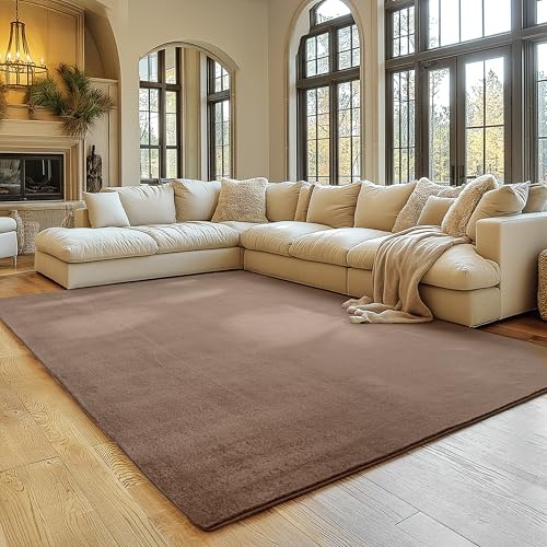 SIMPEX Tapis Brun 200x280 cm Tapis à Poils Courts Lavable, Antidérapant et Doux, Design Monochrome Moderne pour Salon, Chambre, Cuisine et Chambre d'enfant