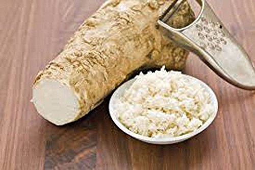 Horseradish Root, Sauget, 4 ounces (Sold by Weight). Great for Planting, Seasoning or Sauces. A taste delight.