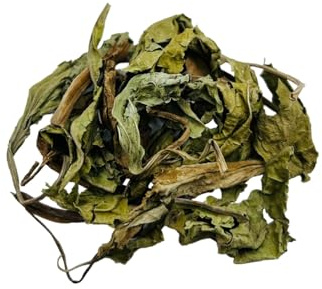 Hojas Enteras de Plátano Seco 25g - 1.95Kg - Plantago Major - Clase A (460 gramos)