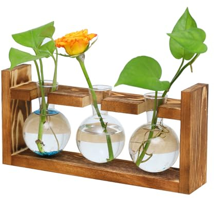 Vase en Tube à Essai, Verre Tube à Essai Vase, Vases Hydroponiques Vintage, Tube à Essai en Verre Vases, pour Plantes Hydroponiques, Décoration Bureau Domicile, avec Support en Bois, 3 Ampoule Vase