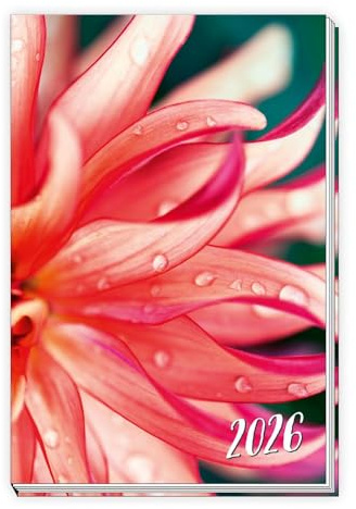 Trötsch Taschenkalender A6 Flowers 2026: Wochenkalender