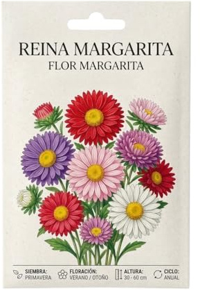 Semillas de Margarita Reina para Jardinería en Casa – Planta Anual de Floración Abundante | DECOALIVE