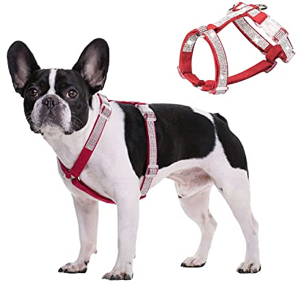 BT Bear Dog Harness, Bling Bling Rhinestone Crystal Dogs Harnesses Adjustable Safe Buckle Pet Harness for Cats Small Dogs Medium Dogs (Red, M)