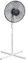 Amazon Basics 3-Speed Oscillating Pedestal Floor Fan with Tiltable Head, 40 Watts, Black With White
