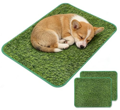 Lot de 2 toilettes pour chien pour la maison et le balcon : lot de 2 toilettes pour chiens de petite taille avec drainage rapide, lavable et tapis pipi pour petits chiens (58,5 x 46 cm)