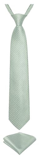 DiBanGu Vorgebundene Krawatte für Jungen, Seidenkrawatte und Einstecktuch, Set für Alter 7–15 Jahre, salbeigrün, Einheitsgröße