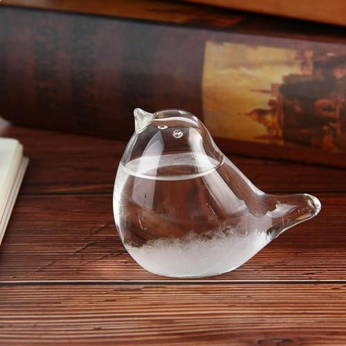 Tempête En Verre Stations Météo - Storm Tempête Pour Les Prévisions Météorologiques | Station Météo Baromètre En Verre En Forme D'oiseau Créative Pour Maison Et Bureau, Cadeau De Noël