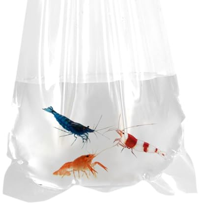 AlfaEx fiskepåsar, 3 tum x 14 tum läckagesäker, rundad botten, klar plastfiskväskor för betta och vattentät transport för små fiskar, 200 Gauge (paket med 50)