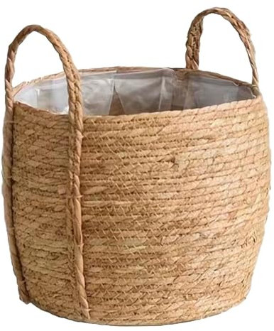 Ailan Cesta para Plantas de césped Natural | Fácil de Limpiar y Plantar Directamente | Maceta versátil para Cubrir macetas de Interior de Fibra Grande, s