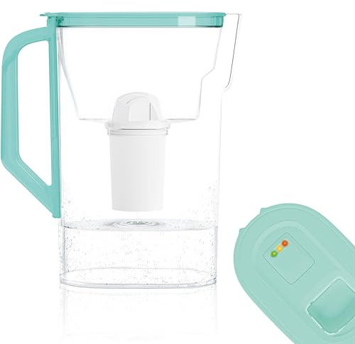Wessper Caraffa Filtrante per Acqua 2,7 Litri, Brocca Acqua Filtrante con Indicatore LED, Caraffa Acqua con Filtro Classico, Caraffa Acqua per Frigorifero, “BPA FREE”, Menta