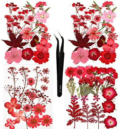 Sieman 64 pezzi di fiori secchi naturali pressati per resina, candele fai da te, ciondoli, custodie per cellulari, cornici per foto, bombe da bagno (stile 3/64 pezzi)