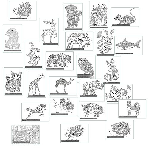 Mindfulness Colouring Postcards: Anti-Stress Art Therapy Postcard Set Drawn in Adult Colouring Book Style
