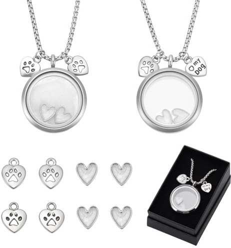 PH PandaHall 2 set di collane ricordo per peli di cane, ceneri di animali domestici, ciondoli commemorativi per urna per animali domestici, medaglione in acciaio inox, collana con ciondolo a forma di