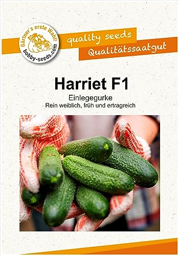 Gurkensamen Harriet F1 Einlegegurke Portion